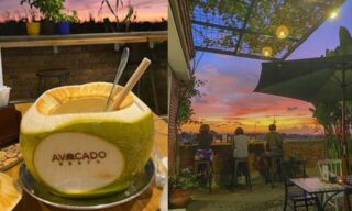 avocado resto