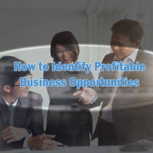 identify profitable business opportunities