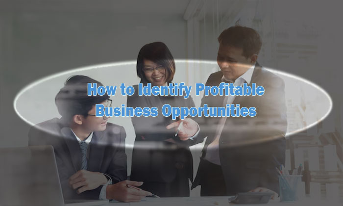 identify profitable business opportunities